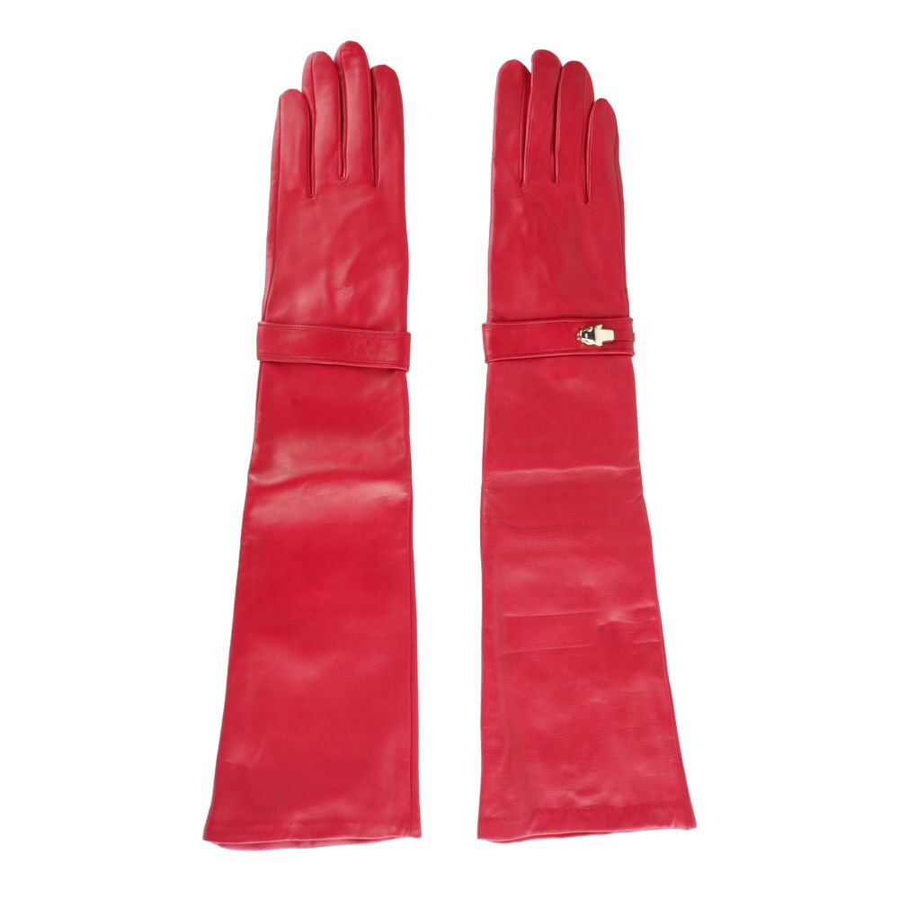 Clt.- Cavalli Class Glove