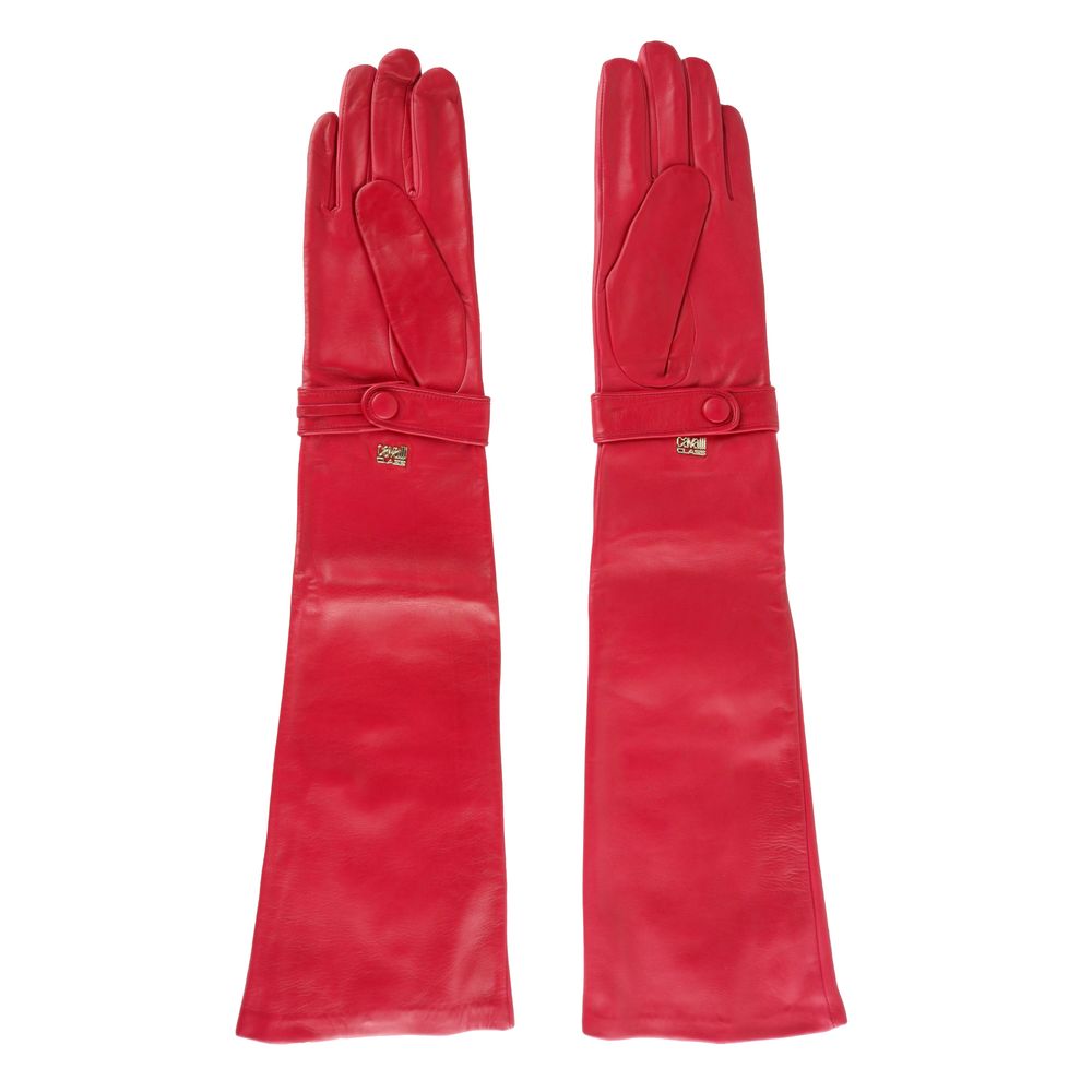 Clt.- Cavalli Class Glove